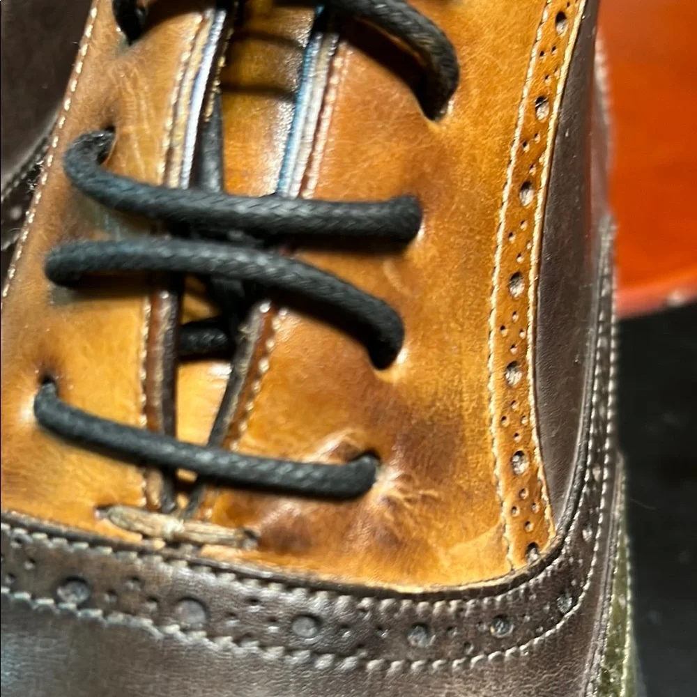 Two-Tone Leather Wingtip Oxfords in Brown and Green